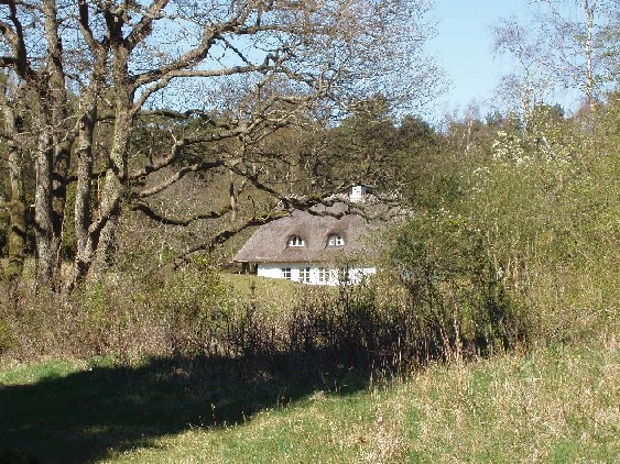 Kunwald-Møhl